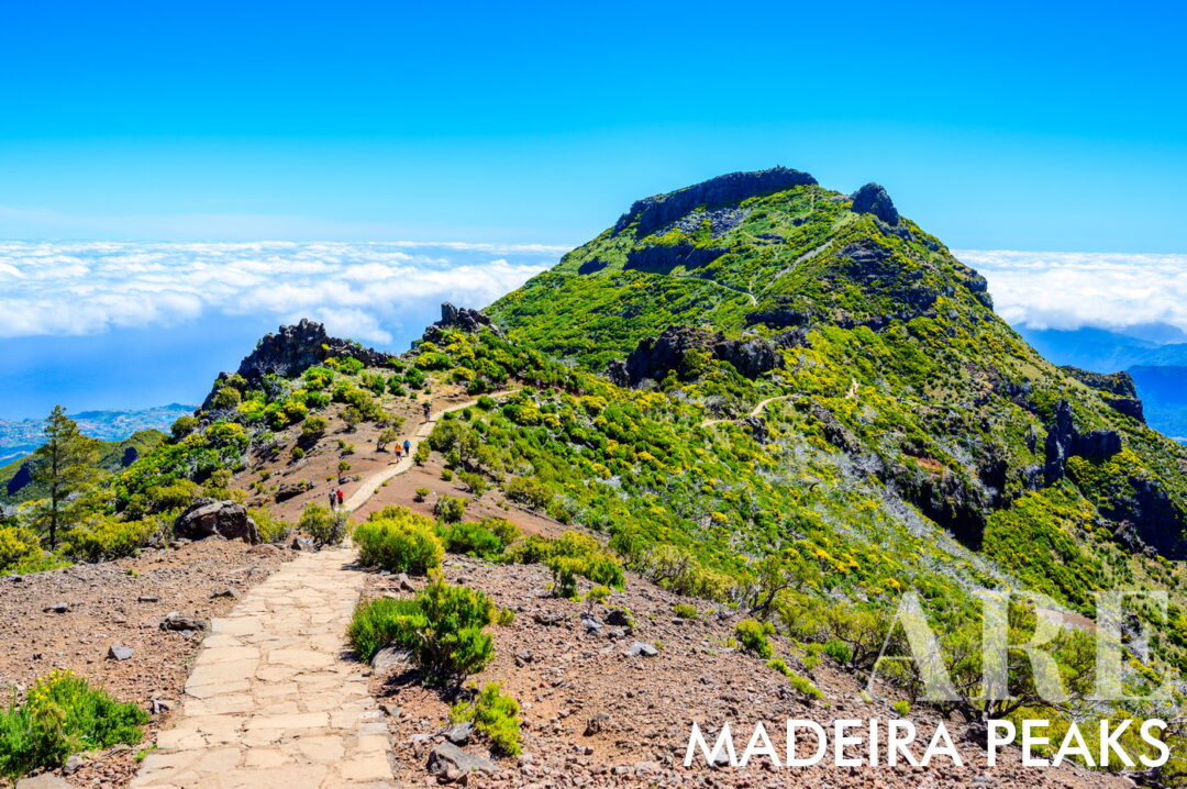 PR1 Vereda do Areeiro es un sendero que conecta tres de los picos más altos de Madeira. Comienza en Pico do Areeiro (1818 m), cruza Pico das Torres (1851 m) y termina en Pico Ruivo (1862 m). Este sendero de 7 km de dificultad moderada toma aproximadamente 3:30 horas en completarse y es parte del Macizo Central, un área de la Red Natura 2000. El sendero comienza en el mirador de Pico do Areeiro e incluye túneles, pendientes pronunciadas y una subida desafiante al refugio Casa de Abrigo do Pico Ruivo. Los excursionistas verán brezales de gran altitud y especies de aves únicas en el camino.