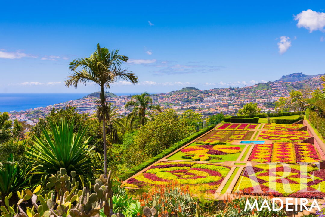 El Jardín Botánico de Madeira, al que se puede acceder en teleférico desde Monte, autobús o taxi, cuenta con una diversa colección de plantas exóticas, terrazas con hermosos jardines e impresionantes vistas de Funchal y el paisaje circundante. Requiere entrada paga.