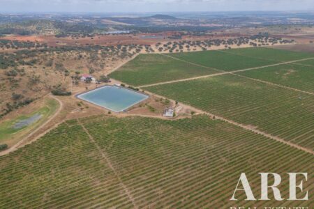 Farmhouse for sale in Ciladas, Vila Viçosa